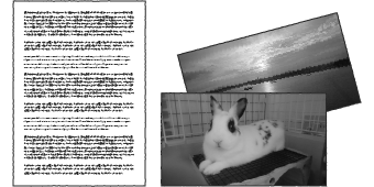 テキスト原稿や写真素材:HONKIWEB